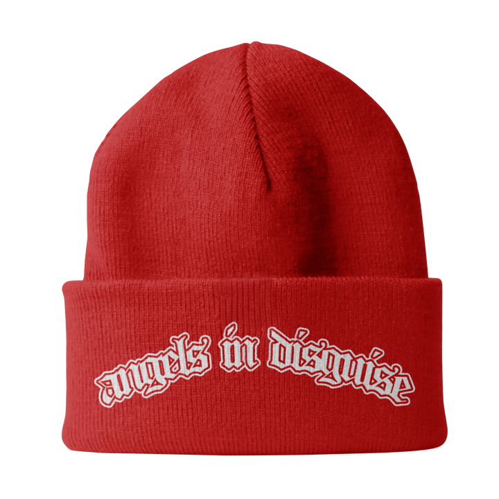 Angels In Disguise Beanie